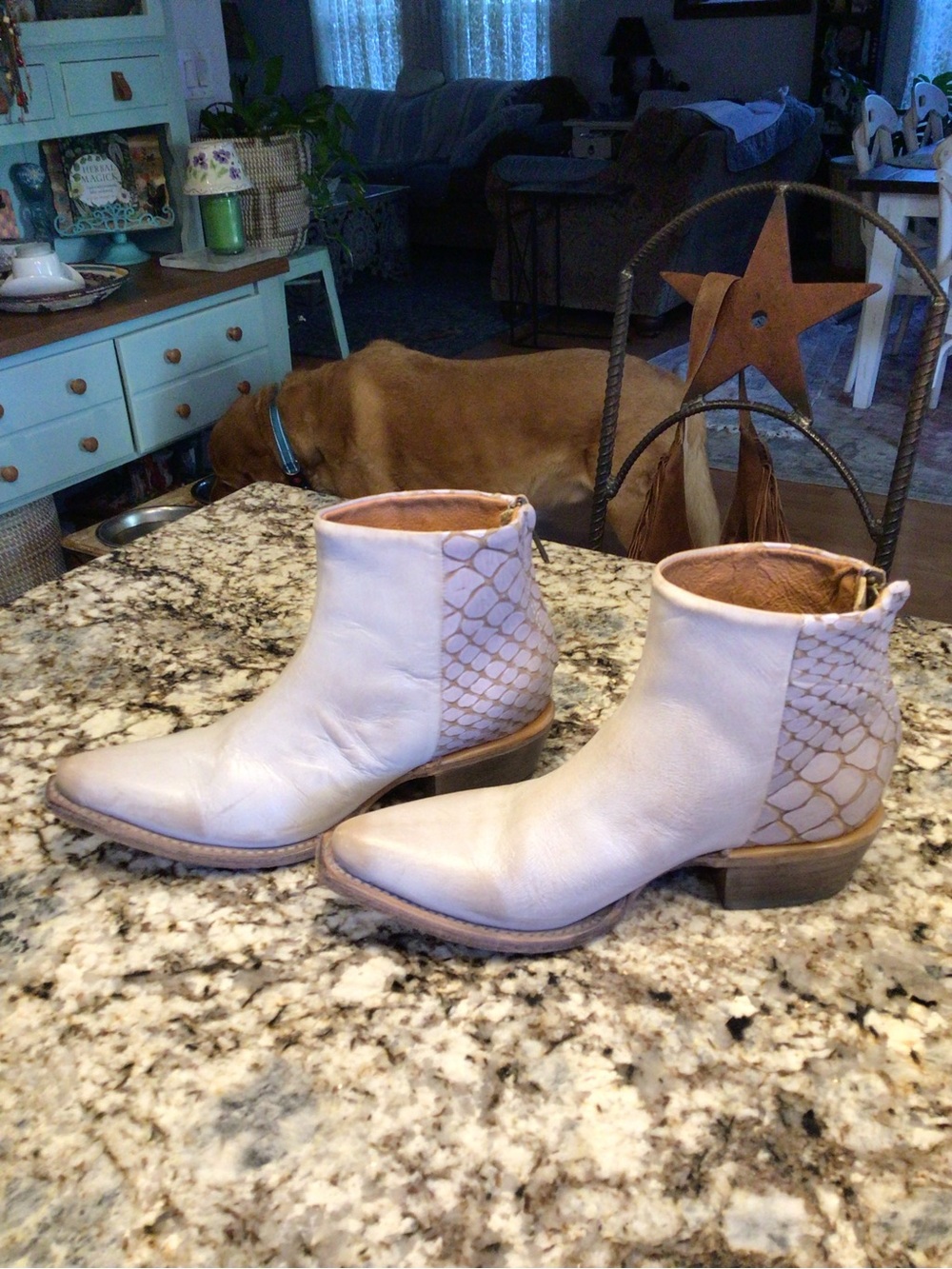 Freebird Cream Leather Pointed Toe Ankle Booties - Picture 5 of 8
